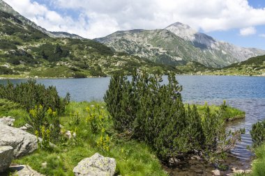 Amazing Summer view of Pirin Mountain around Banderitsa River, Bulgaria