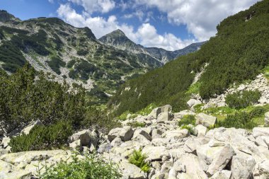 Amazing Summer view of Pirin Mountain around Banderitsa River, Bulgaria