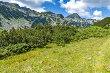 Amazing Summer view of Pirin Mountain around Banderitsa River, Bulgaria