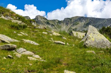 Amazing Summer view of Pirin Mountain around Banderitsa River, Bulgaria