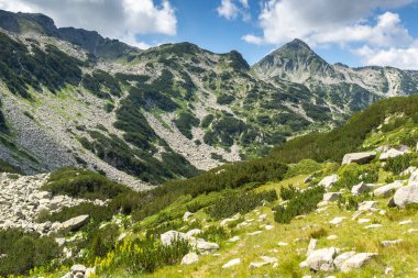 Amazing Summer view of Pirin Mountain around Banderitsa River, Bulgaria