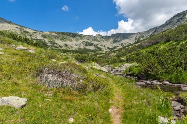 Amazing Summer view of Pirin Mountain around Banderitsa River, Bulgaria