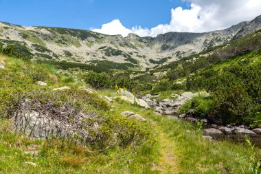 Amazing Summer view of Pirin Mountain around Banderitsa River, Bulgaria