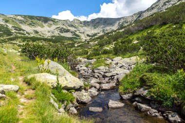 Amazing Summer view of Pirin Mountain around Banderitsa River, Bulgaria