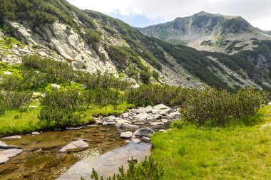 Amazing Summer view of Pirin Mountain around Banderitsa River, Bulgaria
