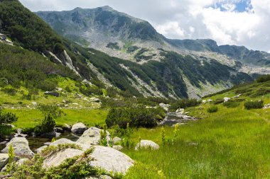 Amazing Summer view of Pirin Mountain around Banderitsa River, Bulgaria