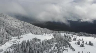 Amazing Aerial winter view of Rila mountain near Belmeken Dam, Bulgaria