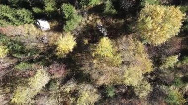 Bulgaristan 'ın Vitosha Dağı' nın İnanılmaz Sonbaharı
