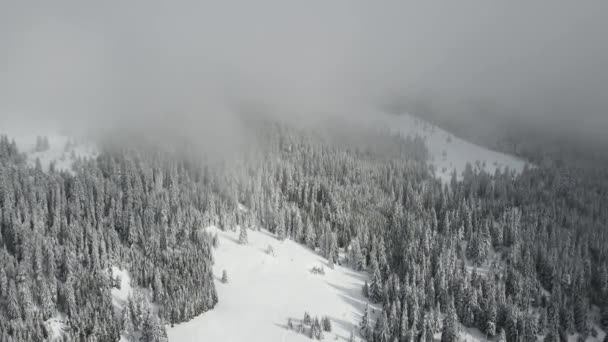 Amazing Aerial Winter View Rila Mountain Belmeken Dam Bulgaria — Vídeo de stock
