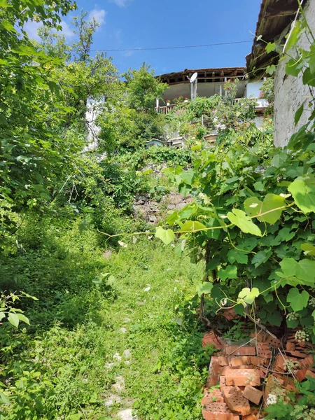 Stock image Village of Delchevo with authentic houses from the nineteenth century, Blagoevgrad region, Bulgaria