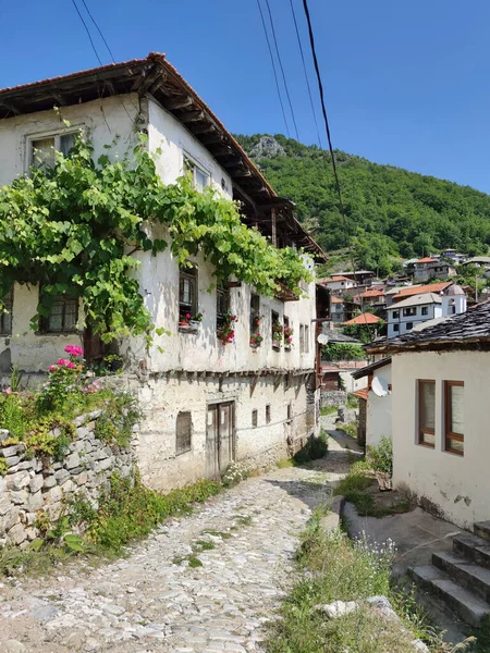 Yüzyıldan Kalma Otantik Evleri Olan Delchevo Köyü Blagoevgrad Bölgesi Bulgaristan — Stok fotoğraf