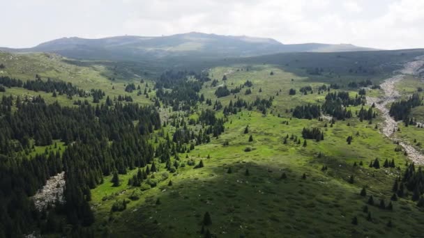 Вид Повітря Коньярніку Гору Вітоша Софія Болгарія — стокове відео