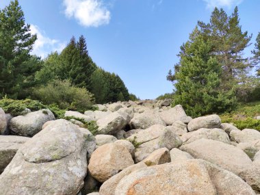 Bulgaristan 'ın Vitosha Dağı' nın şaşırtıcı sonbahar manzarası