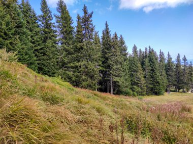 Bulgaristan 'ın Vitosha Dağı' nın şaşırtıcı sonbahar manzarası