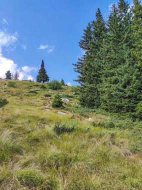 Bulgaristan 'ın Vitosha Dağı' nın şaşırtıcı sonbahar manzarası