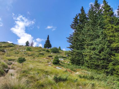 Bulgaristan 'ın Vitosha Dağı' nın şaşırtıcı sonbahar manzarası