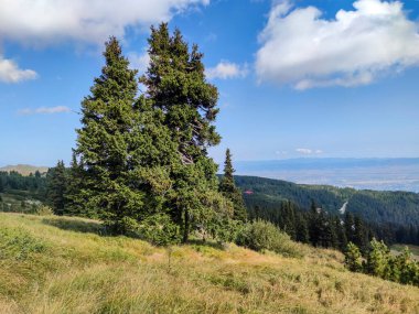 Bulgaristan 'ın Vitosha Dağı' nın şaşırtıcı sonbahar manzarası