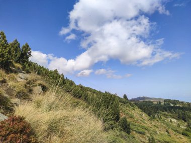 Bulgaristan 'ın Vitosha Dağı' nın şaşırtıcı sonbahar manzarası