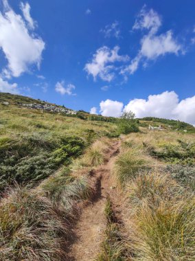 Bulgaristan 'ın Vitosha Dağı' nın şaşırtıcı sonbahar manzarası