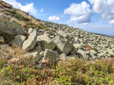 Bulgaristan 'ın Vitosha Dağı' nın şaşırtıcı sonbahar manzarası