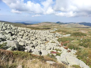 Bulgaristan 'ın Vitosha Dağı' nın şaşırtıcı sonbahar manzarası