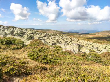Bulgaristan 'ın Vitosha Dağı' nın şaşırtıcı sonbahar manzarası
