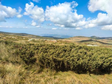 Bulgaristan 'ın Vitosha Dağı' nın şaşırtıcı sonbahar manzarası