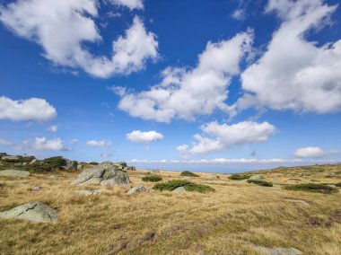 Bulgaristan 'ın Vitosha Dağı' nın şaşırtıcı sonbahar manzarası