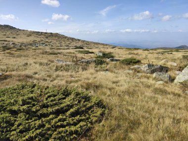 Bulgaristan 'ın Vitosha Dağı' nın şaşırtıcı sonbahar manzarası