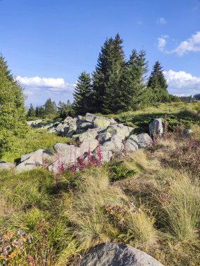 Bulgaristan 'ın Vitosha Dağı' nın şaşırtıcı sonbahar manzarası