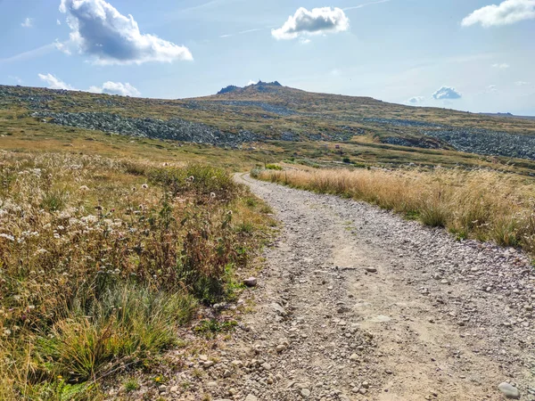 Bulgaristan 'ın Vitosha Dağı' nın şaşırtıcı sonbahar manzarası