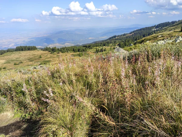 Niesamowity Widok Góry Vitosha Bułgaria — Zdjęcie stockowe
