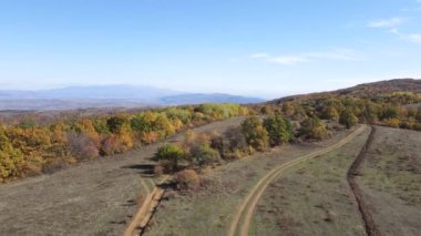 Sonbahar manzara Cherna Gora (Karadağ) Dağı, Pernik bölge, Bulgaristan