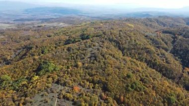 Sonbahar manzara Cherna Gora (Karadağ) Dağı, Pernik bölge, Bulgaristan