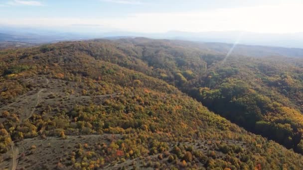 Paisagem Outono Montanha Cherna Gora Monte Negro Região Pernik Bulgária — Vídeo de Stock