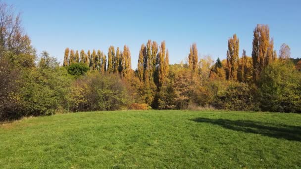保加利亚索菲亚市南部公园令人惊奇的空中秋季美景 — 图库视频影像