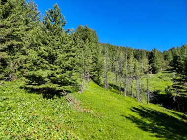 Bezbog Gölü yakınlarındaki muhteşem manzara, Pirin Dağı, Bulgaristan