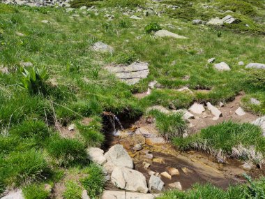 Muhteşem manzara Popovo göl, Pirin Dağı, Bulgaristan