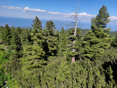Bezbog Gölü yakınlarındaki muhteşem manzara, Pirin Dağı, Bulgaristan