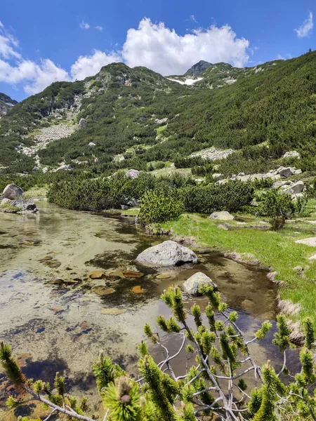 Amazing Landscape Sekitar Danau Popovo Pirin Mountain Bulgaria — Stok Foto