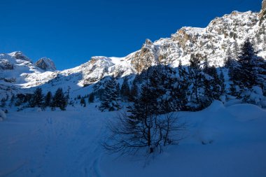 Amazing Winter view of Rila Mountain near Malyovitsa peak, Bulgaria