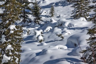 Amazing Winter view of Rila Mountain near Malyovitsa peak, Bulgaria