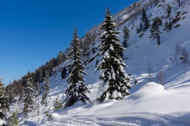 Amazing Winter view of Rila Mountain near Malyovitsa peak, Bulgaria