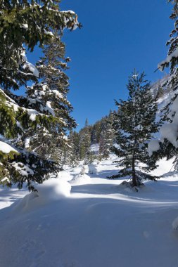 Amazing Winter view of Rila Mountain near Malyovitsa peak, Bulgaria