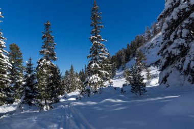 Amazing Winter view of Rila Mountain near Malyovitsa peak, Bulgaria