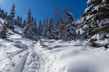 Amazing Winter view of Rila Mountain near Malyovitsa peak, Bulgaria