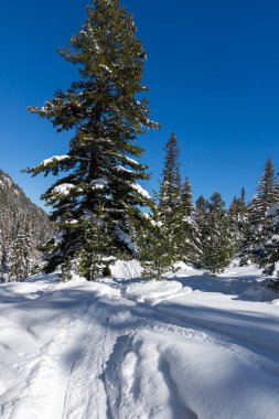 Amazing Winter view of Rila Mountain near Malyovitsa peak, Bulgaria