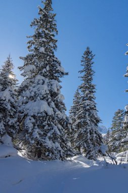 Amazing Winter view of Rila Mountain near Malyovitsa peak, Bulgaria