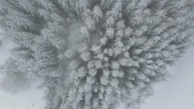 Amazing Aerial winter view of Rila mountain near Belmeken Dam, Bulgaria