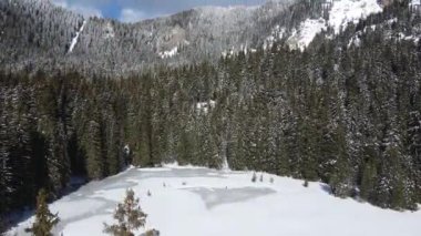 Aerial winter view of Rhodope Mountains around resort of Pamporovo, Smolyan Region, Bulgaria
